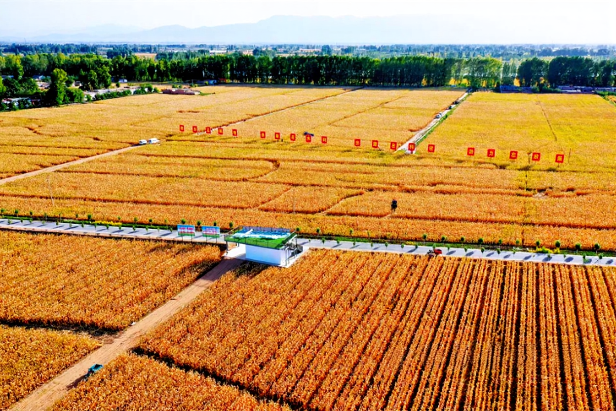 gwq2nye7sdrmc0ctraystw3pxm